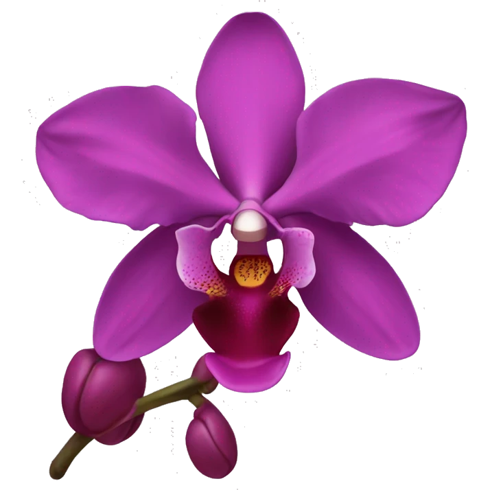 magenta orchid emoji