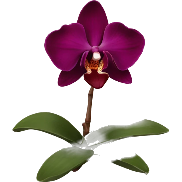 Burgundy orchid  emoji