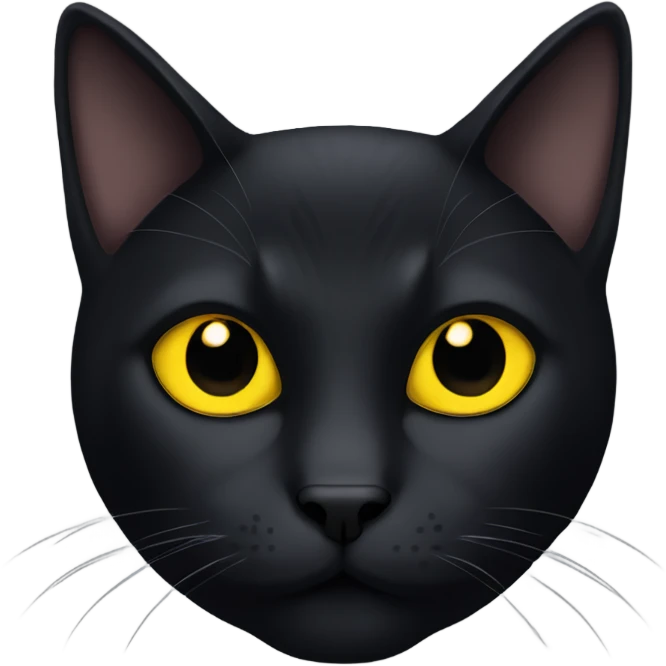black cat with yellow eyes named spooky emoji