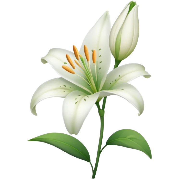 Lily flower emoji  emoji