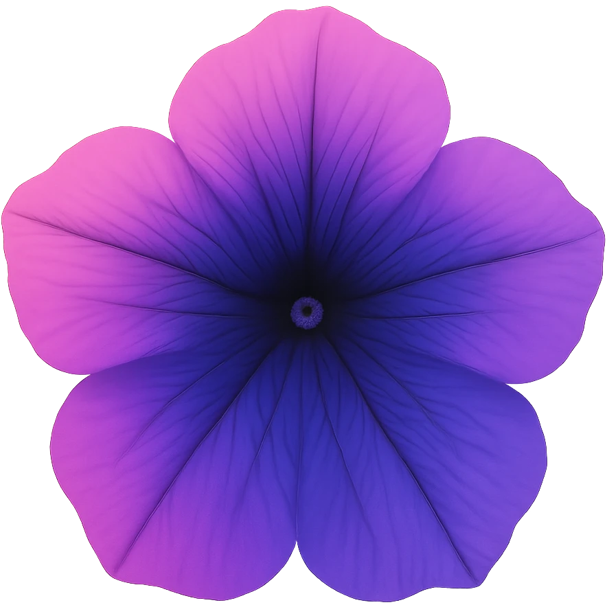 Pink-Violet-Indigo-Purple-Gradient Petuniaemoji    , remove background emoji