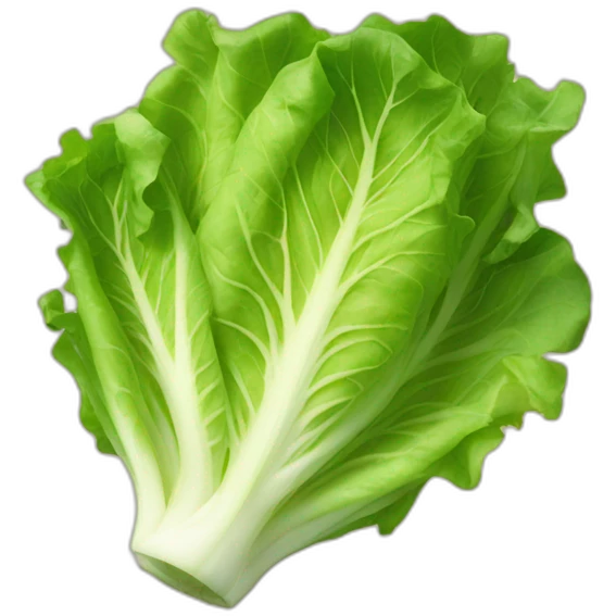 Lettuce pray emoji