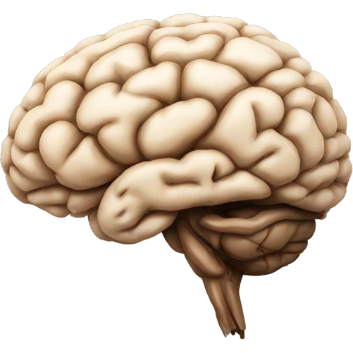 Studying brain rot  emoji