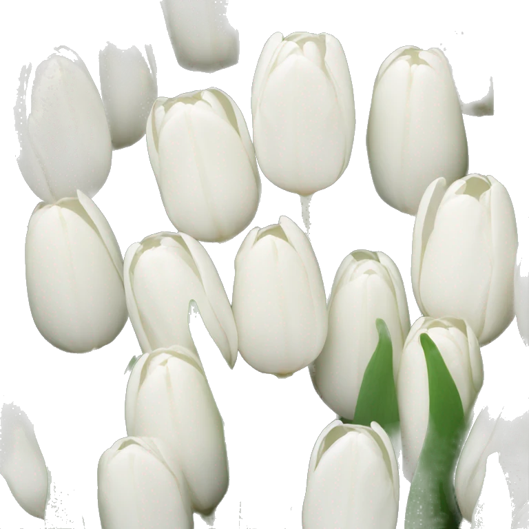 White tulips emoji
