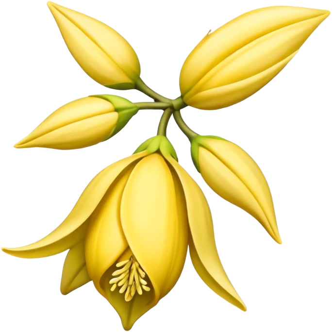 ylang ylang flower little closed emoji