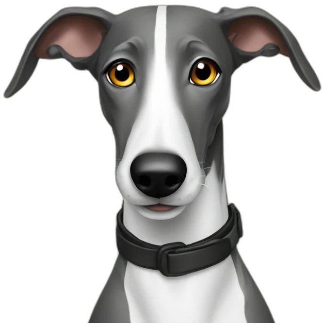 Galgo disck jockey emoji