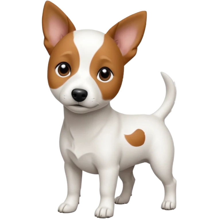 a fully white jack russell the size of a kelpie with a half white face emoji