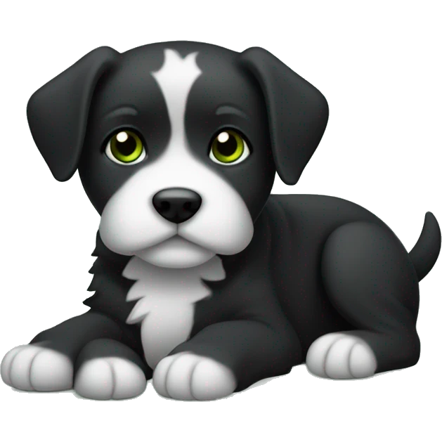 Cachorro peludo preto, com coleira verde emoji