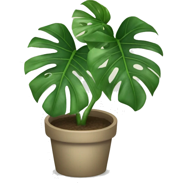 Monstera albo plant emoji