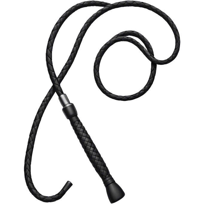 Black leather whip  emoji
