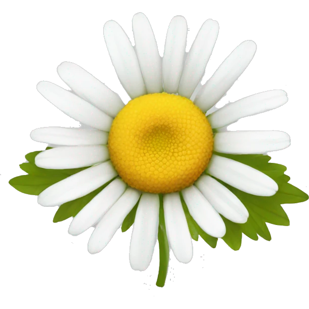 Chamomile emoji