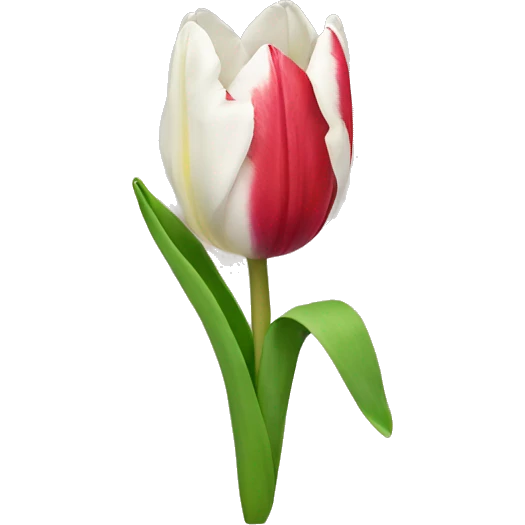 Tulip emoji