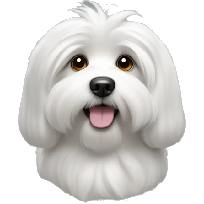 coton de tulear, le visage blanc, les poils des oreilles gris foncé. emoji