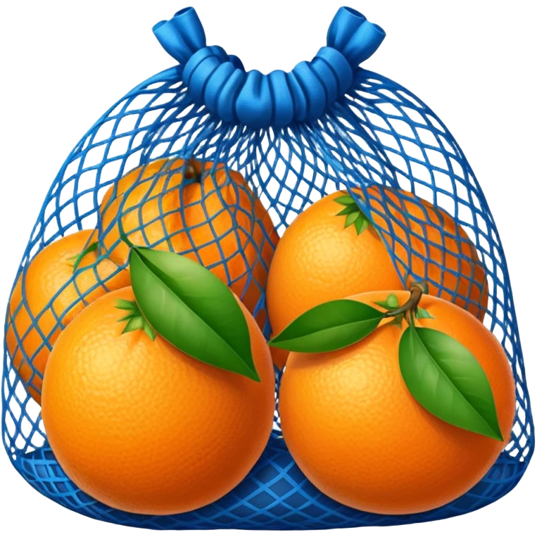 oranges in blue mesh bag emoji