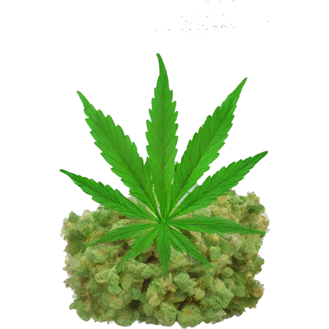 transparent ziplock bag with sativa strain inside emoji