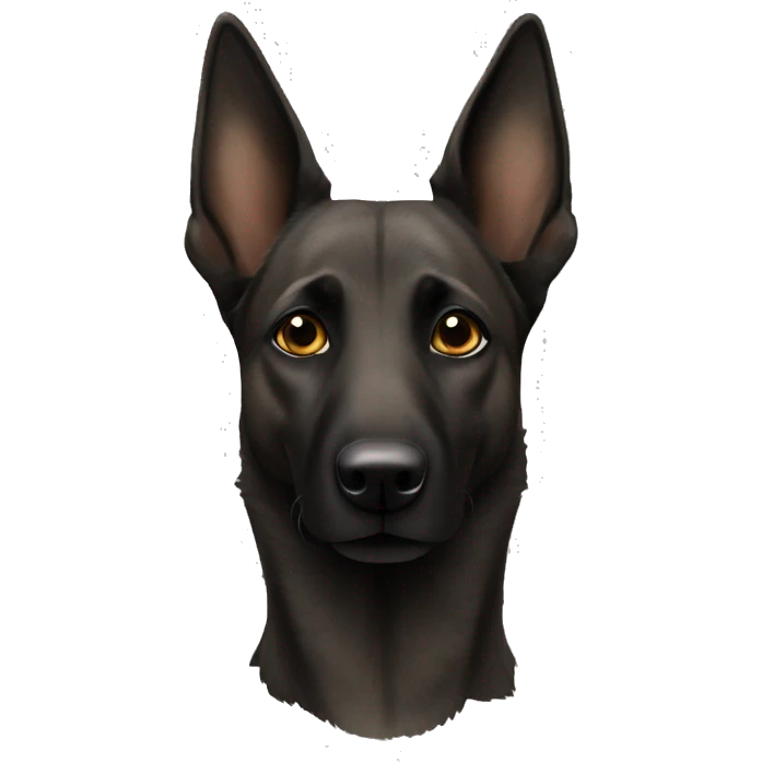 Dutch shepherd emoji