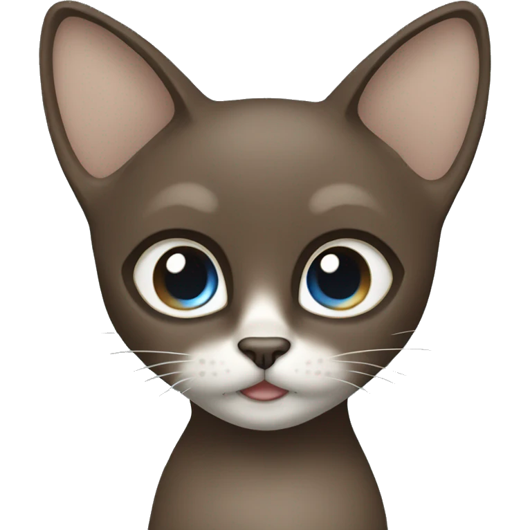 Dark Brown face - beige body and ears female thai cat with blue eyes  emoji