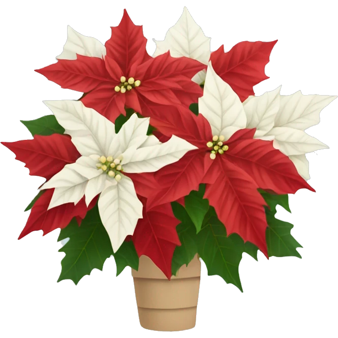 Red and white poinsettia bouquet emoji