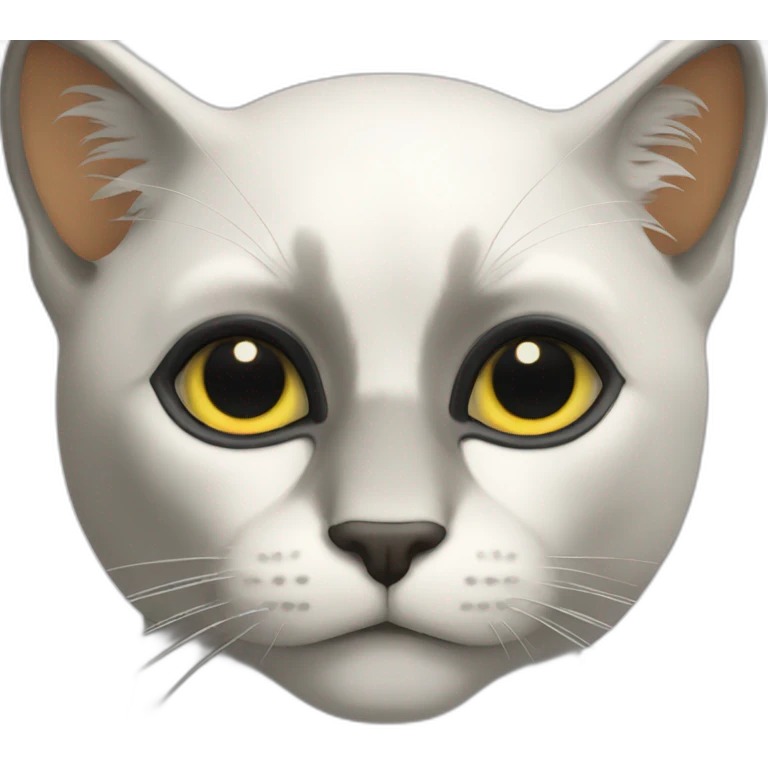 Chat Noir tache blanche  emoji