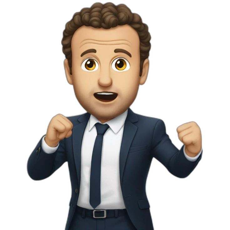 macron-slapping-hanouna emoji