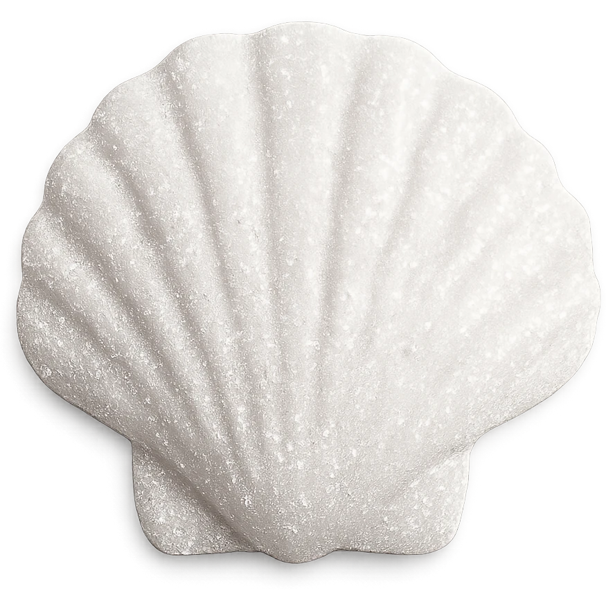 sparkly white seashell emoji