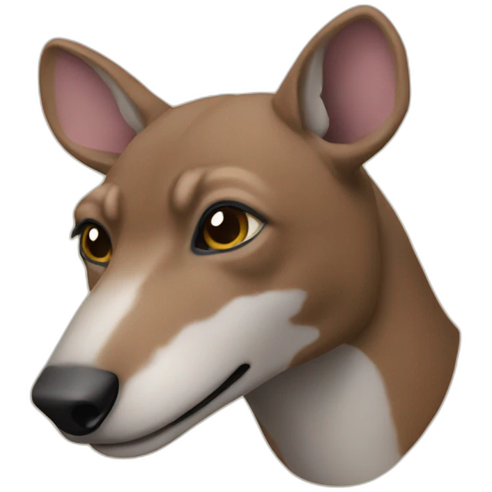 Rachitroo  emoji