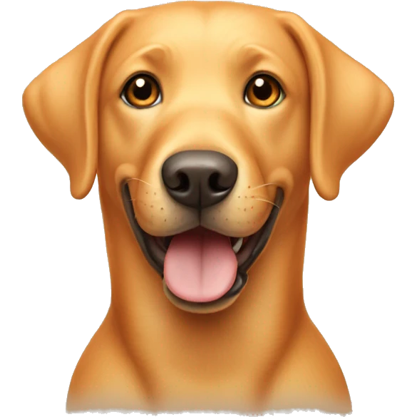Dog named Olli, orange labrador with happy face emoji