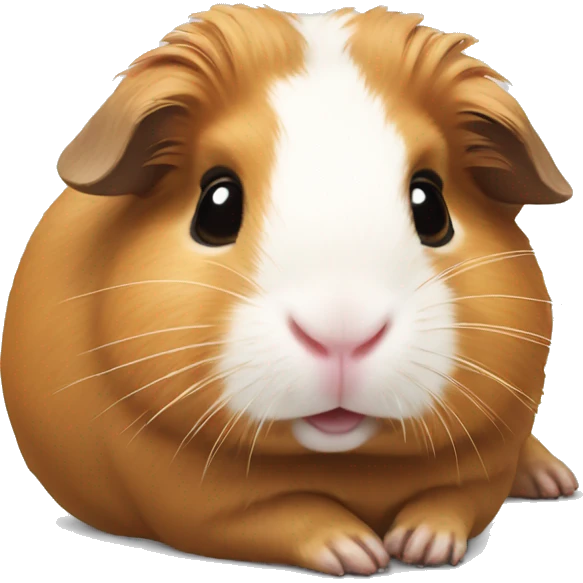 Guineapig laying down very cute but realistic emoji