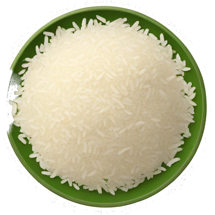 PAKISTANI RICE WITH LEG PIECE emoji