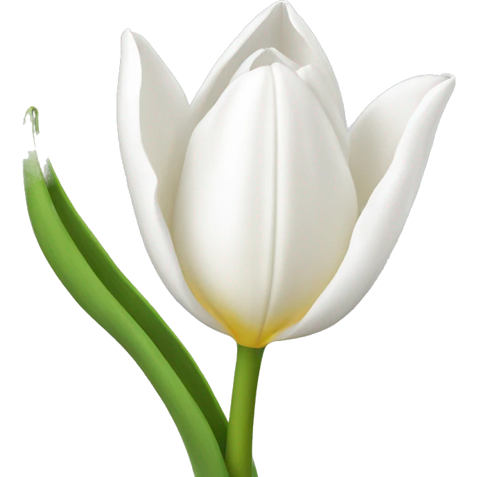 White tulip emoji