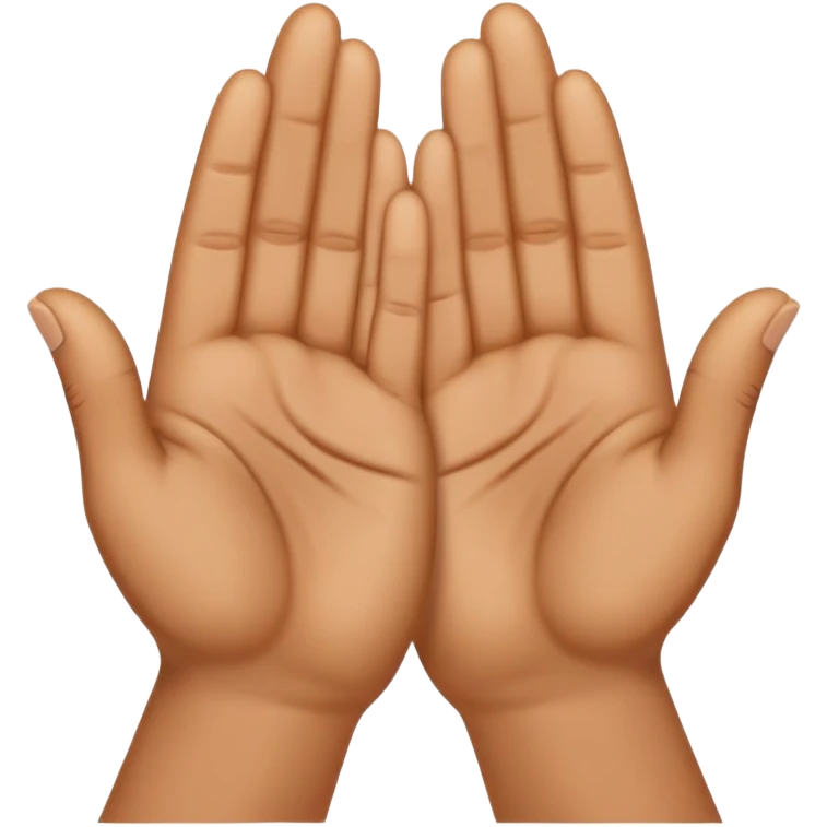 hands in a praying gesture emoji