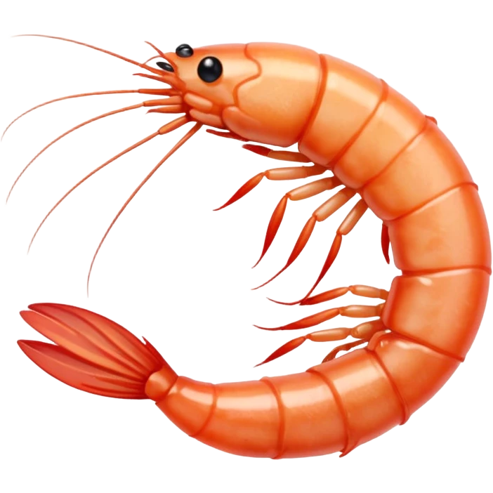 White shrimp  emoji