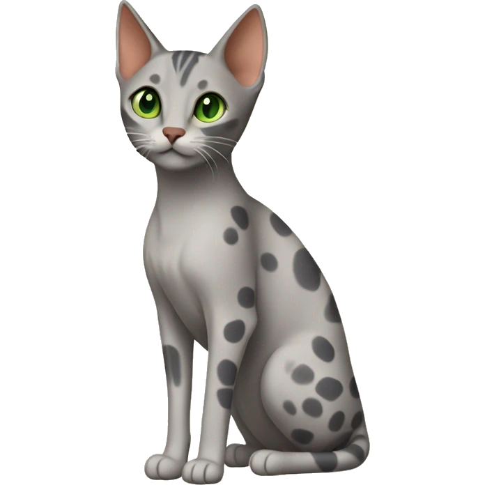 Short-haired oriental cat ,full body , grey coat with spots , green eyes , terracotta nuzzle emoji