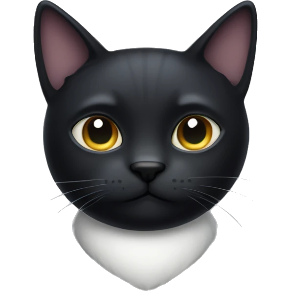 Black cat with a little white spot on his chest  emoji