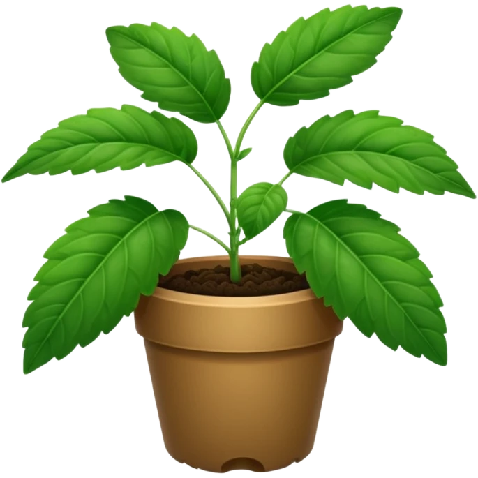 Una planta de menta emoji
