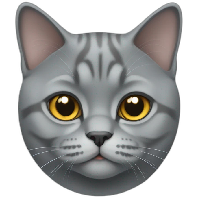 british shorthair cat emoji