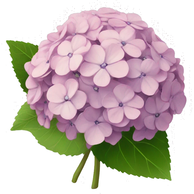 hydrangea emoji