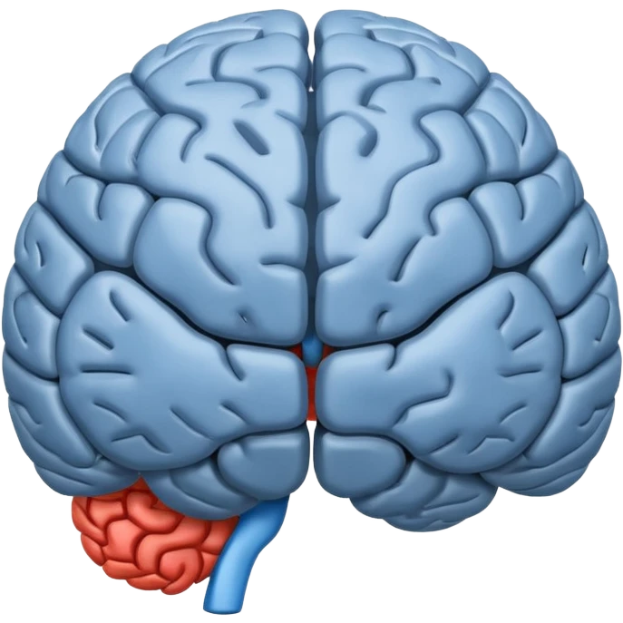 The brain has blue hemispheres and grey hemispheres emoji