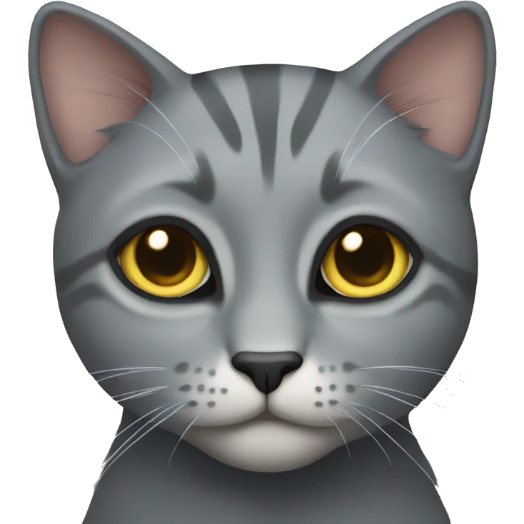 grey cat  emoji