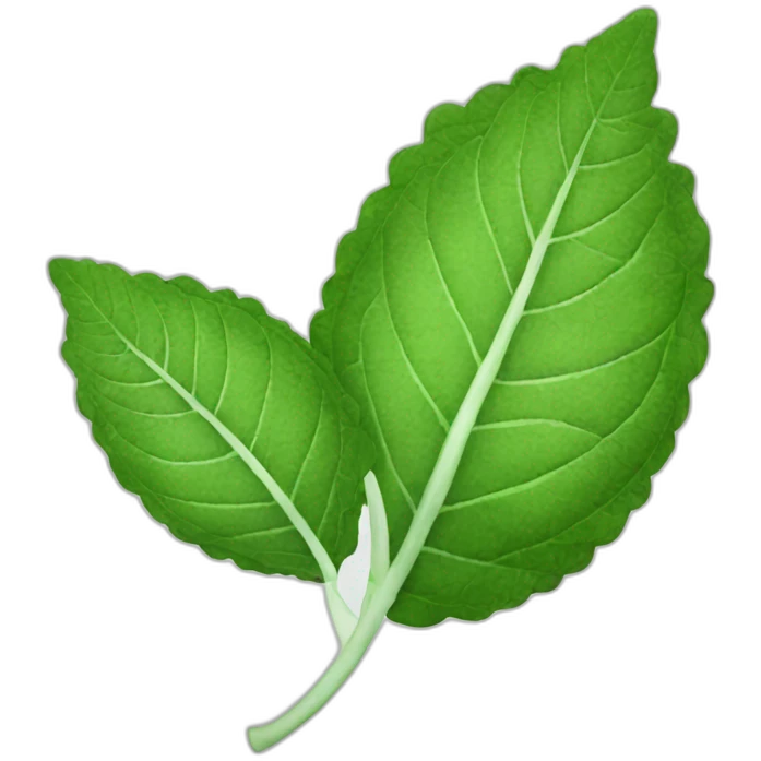 peppermint leaves emoji