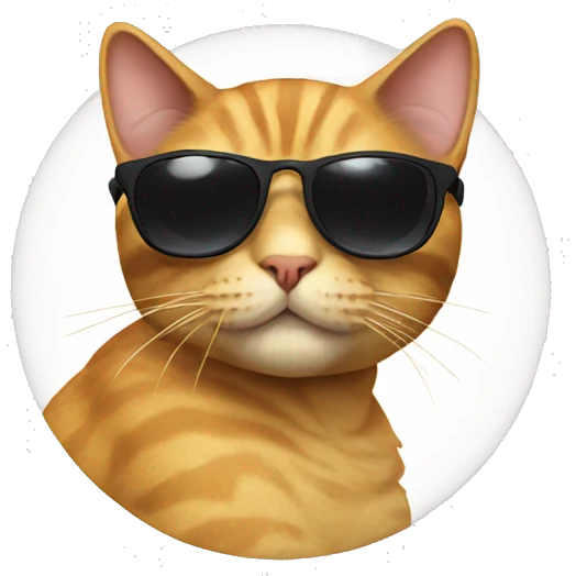 Cat with sunglasses emoji