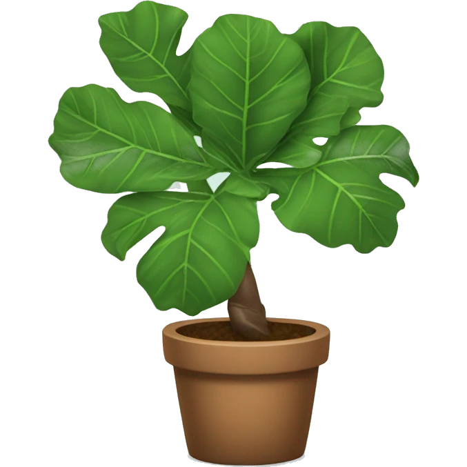 Fiddle leaf tree emoji