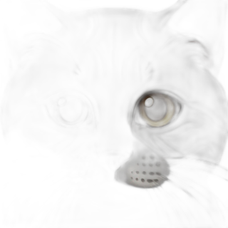british cat emoji