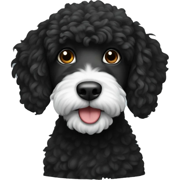 Bernadoodle black with white near mouth sitting emoji
