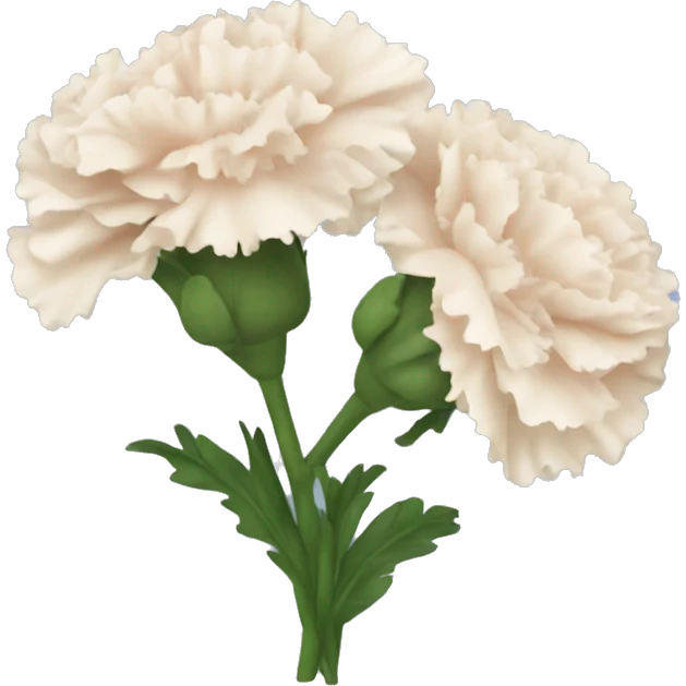 Carnations emoji