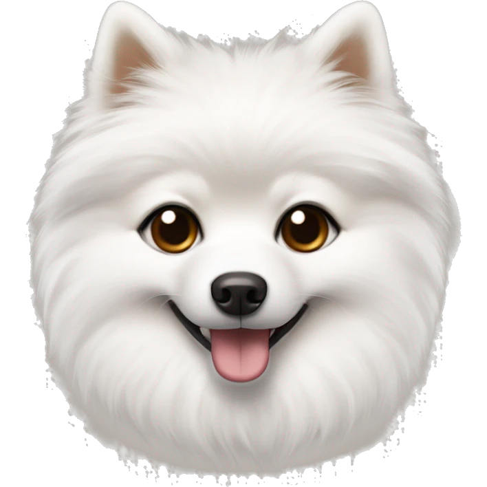 White  little pomerian spitz with brown eyes and black nose  emoji