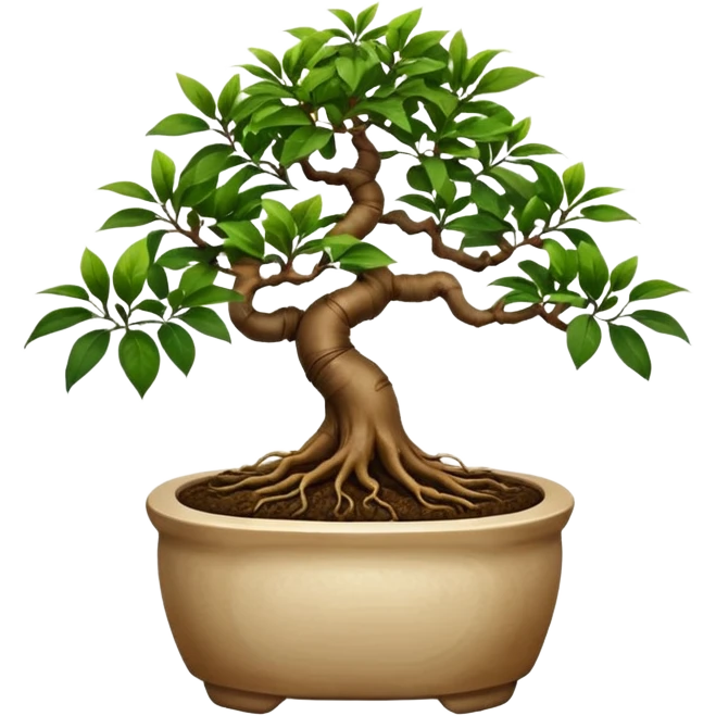 BONSAI DI FICUS GINSENG 
 emoji