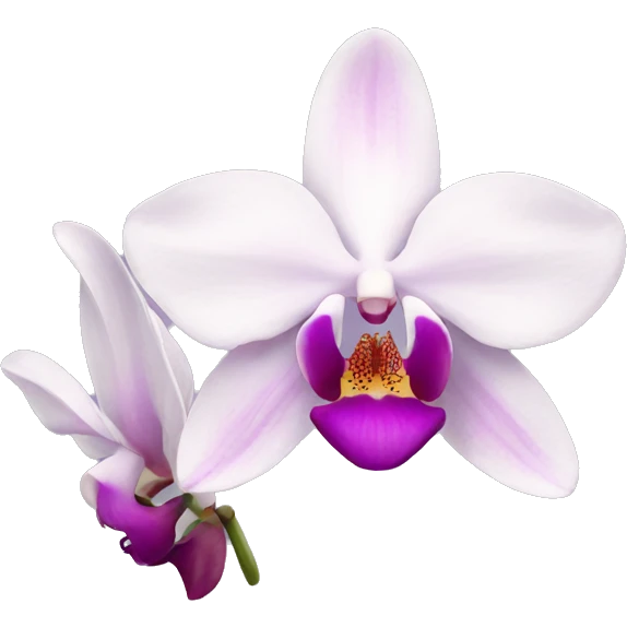 orchid flower emoji