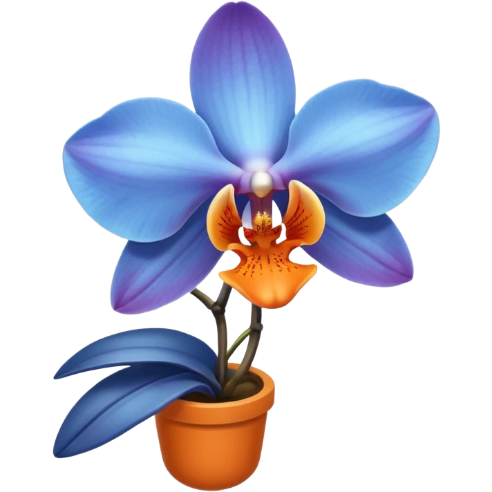 blue and orange colored orchid, simple and clean emoji