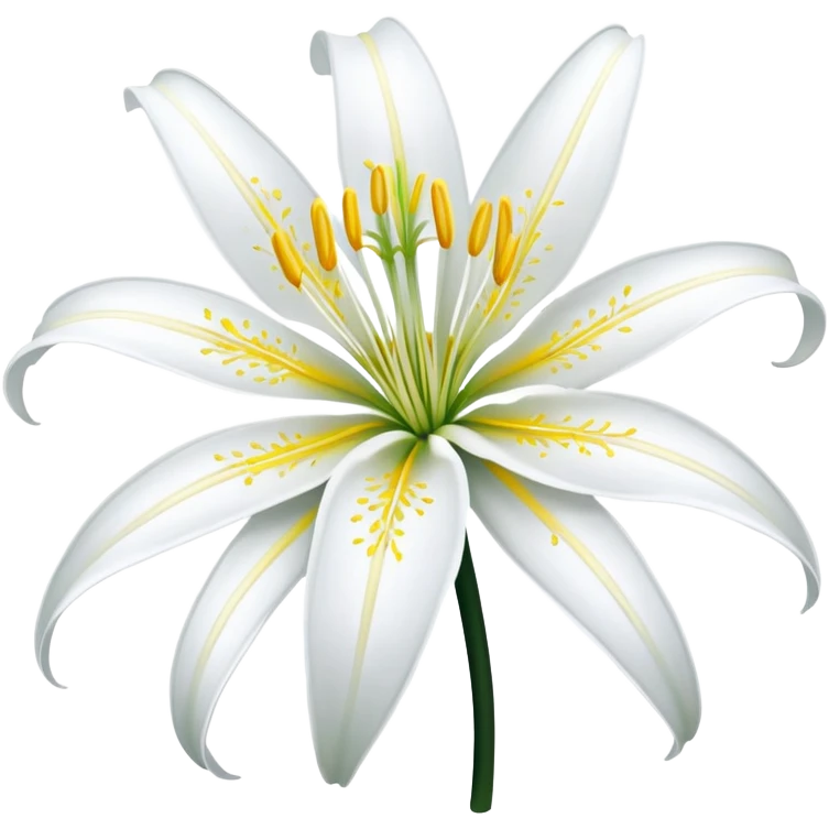 Beach spider lily flower emoji
